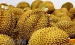 Durian export brings home 1.63 billion USD in 9 months