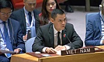 Xung đột Hamas - Israel: Việt Nam lên án hành động tấn công dân thường