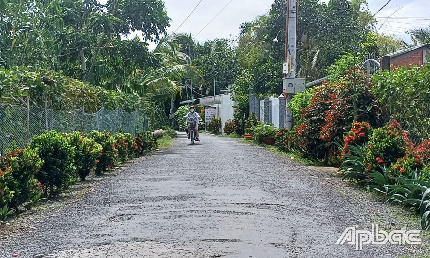  “Tuyến đường hoa” ở xã Hậu Thành, huyện Cái Bè. 