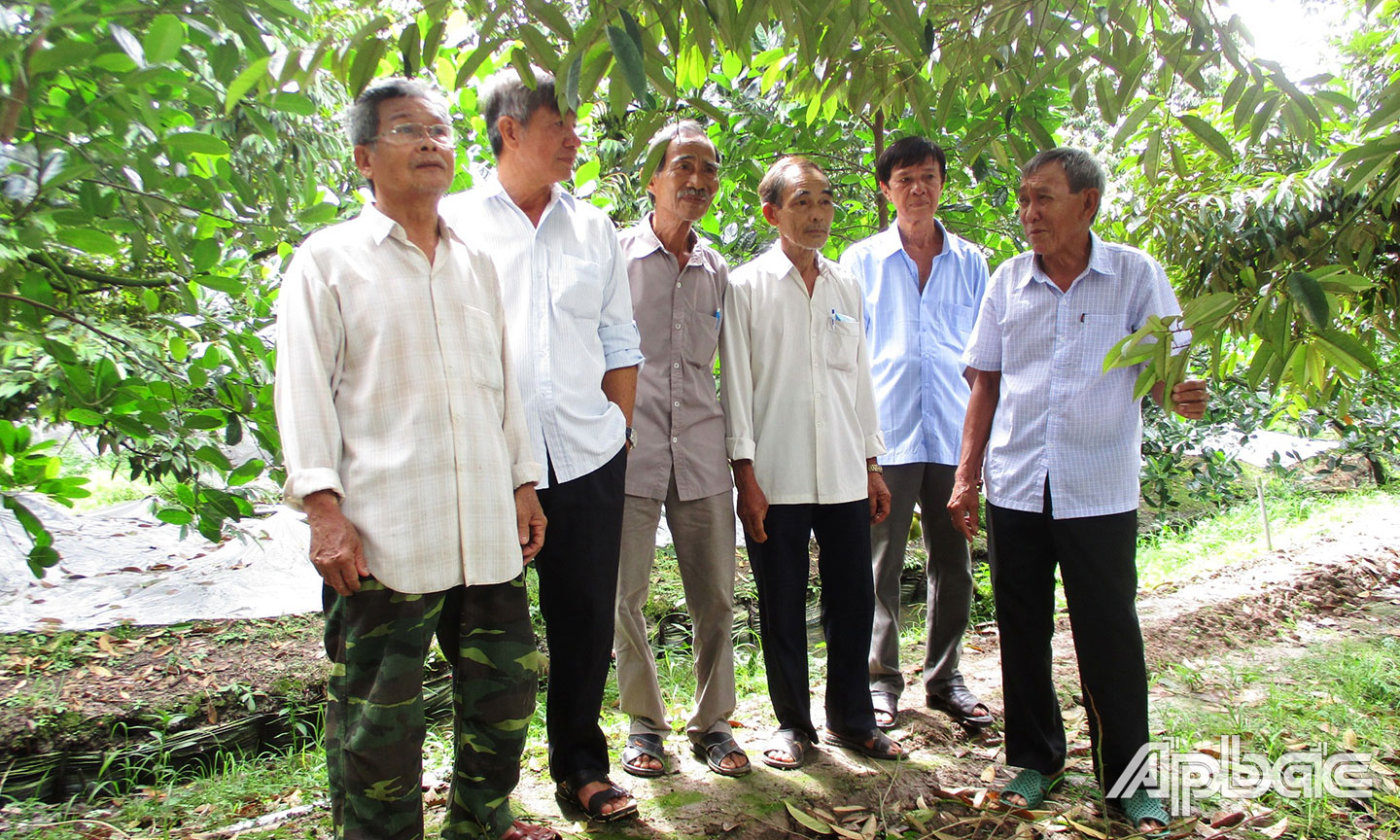 Ông Châu (bìa phải) trao đổi kinh nghiệm chuyên canh sầu riêng với hội viên, người cao tuổi ấp 3, xã Phú An.