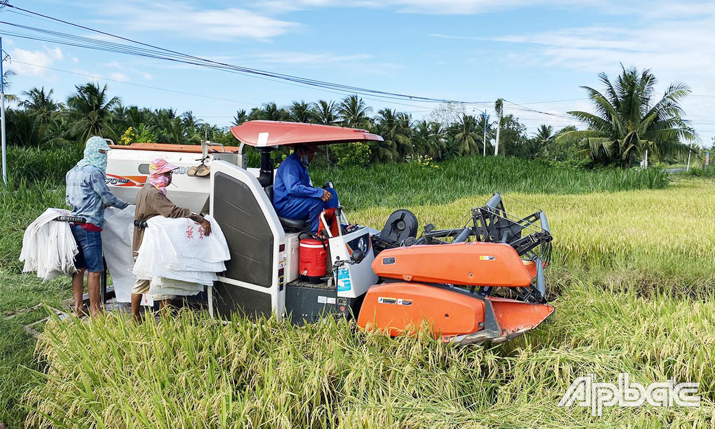 Bức tranh KT-XH huyện tiếp tục ghi nhận nhiều khởi sắc với nhiều chỉ tiêu đạt và vượt kế hoạch.