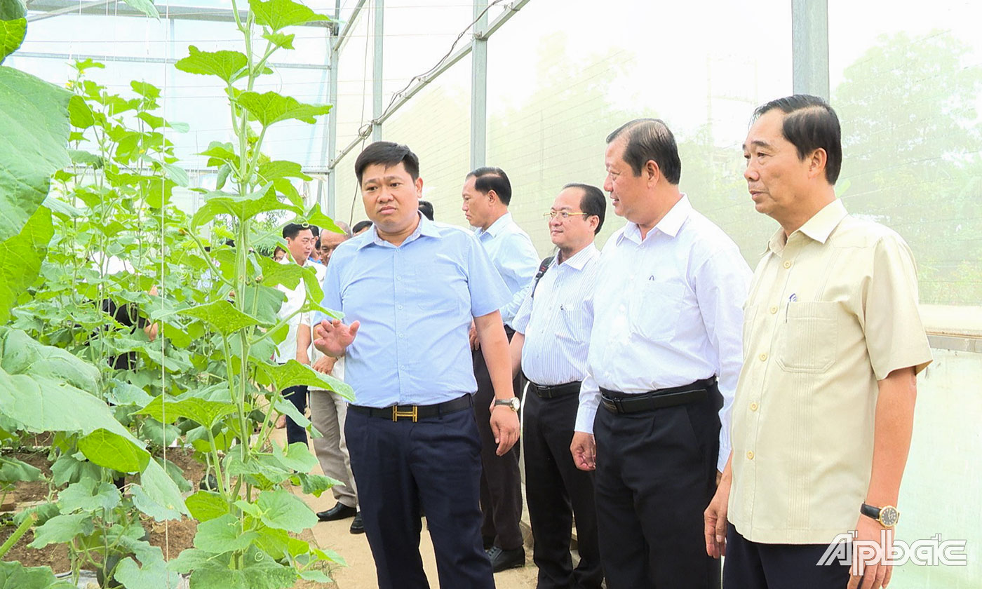 Đoàn công tác TX. Cai Lậy tham quan mô hình trồng dưa lưới an toàn tại xã Hùng Lô, TP. Việt Trì, tỉnh Phú Thọ