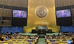 Vietnam supports reform of UN Security Council