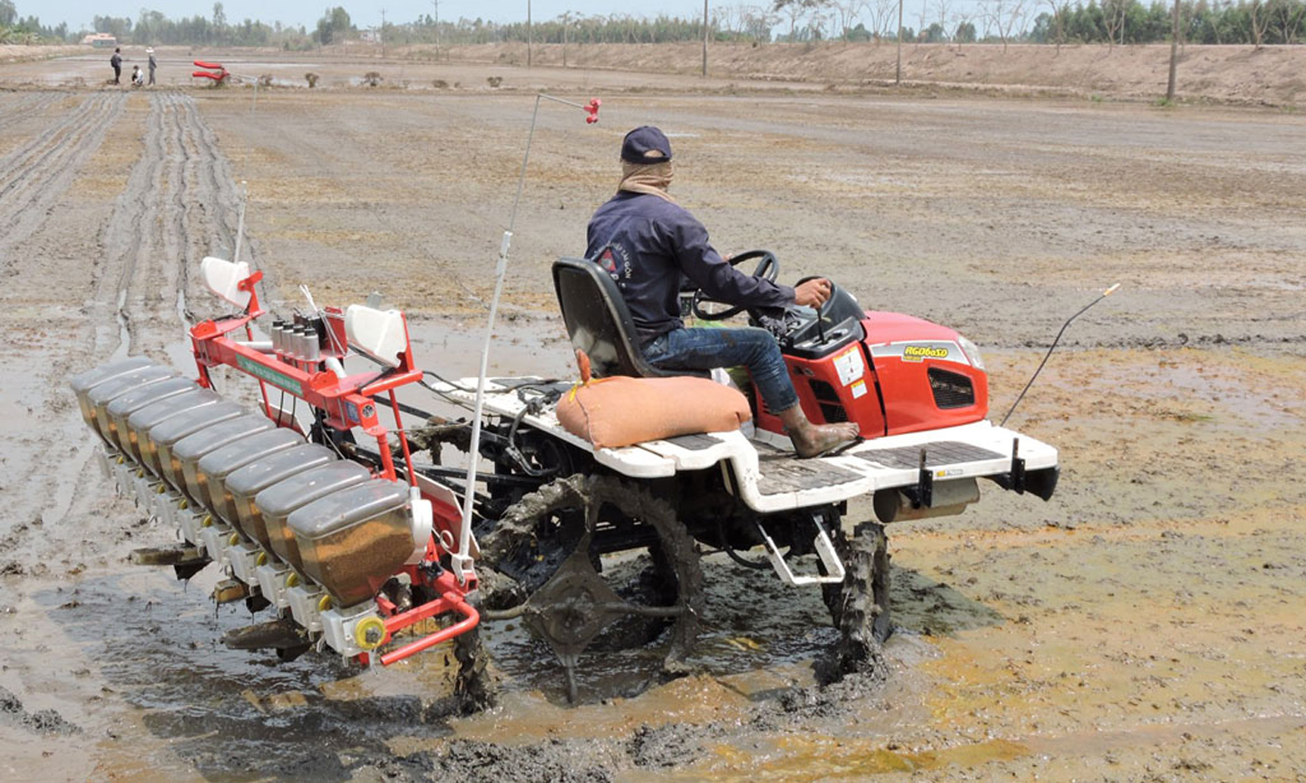 Gieo sạ các giống lúa trên địa bàn tỉnh Long An. 