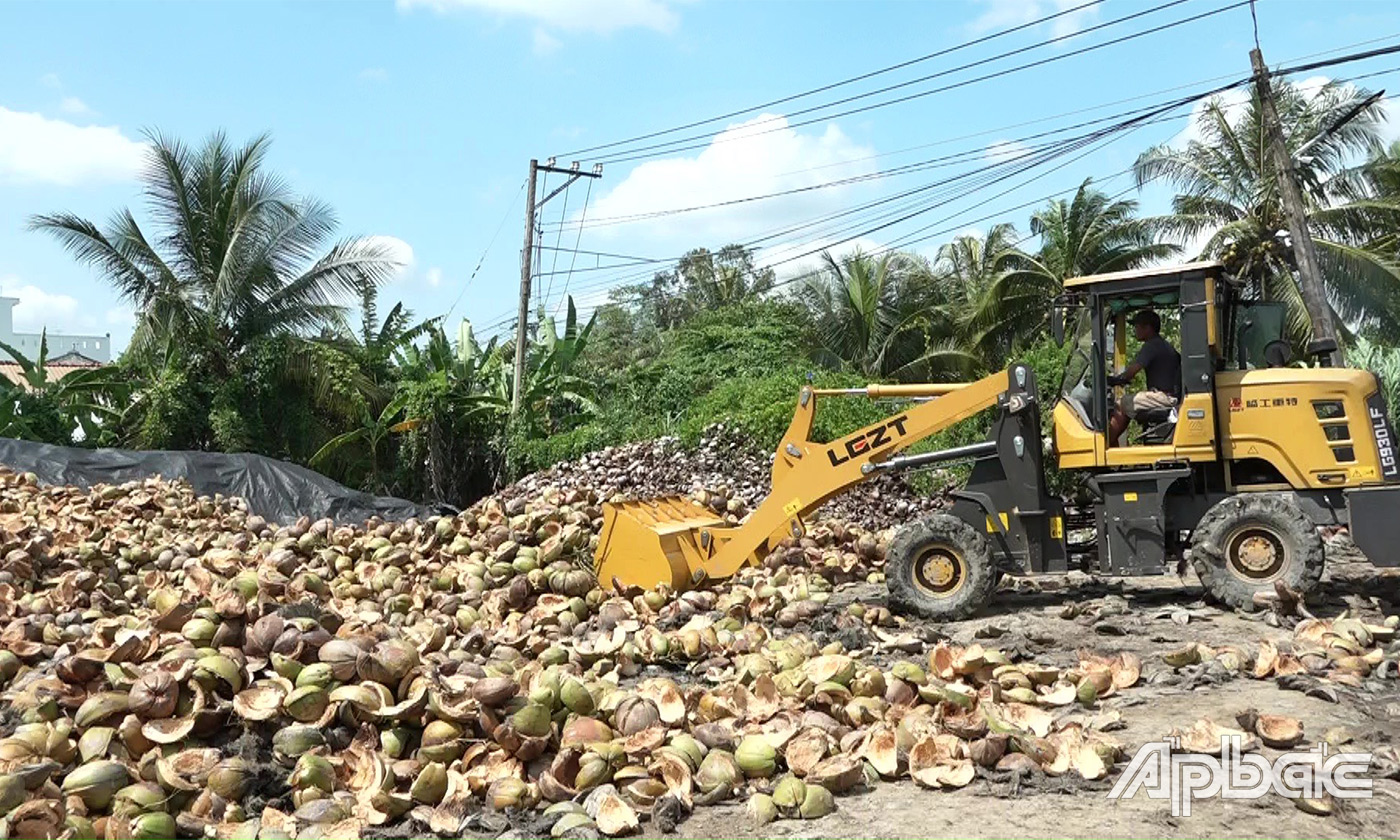 Nguồn nguyên liệu được tập kết về cơ sở sảm xuất