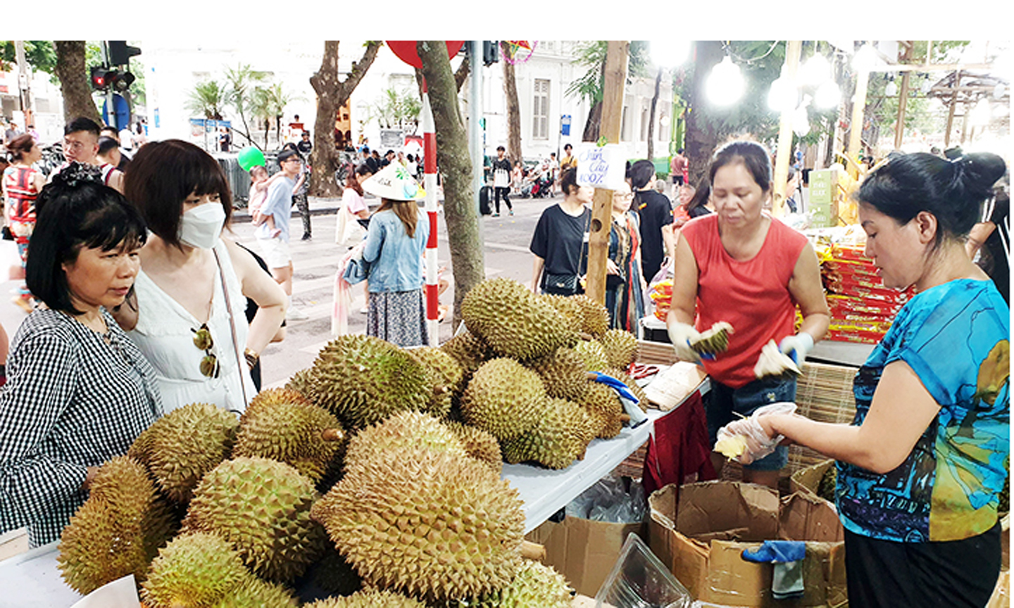 Sầu riêng đang dẫn đầu về kim ngạch xuất khẩu trong ngành hàng trái cây. Ảnh: HẢI NAM