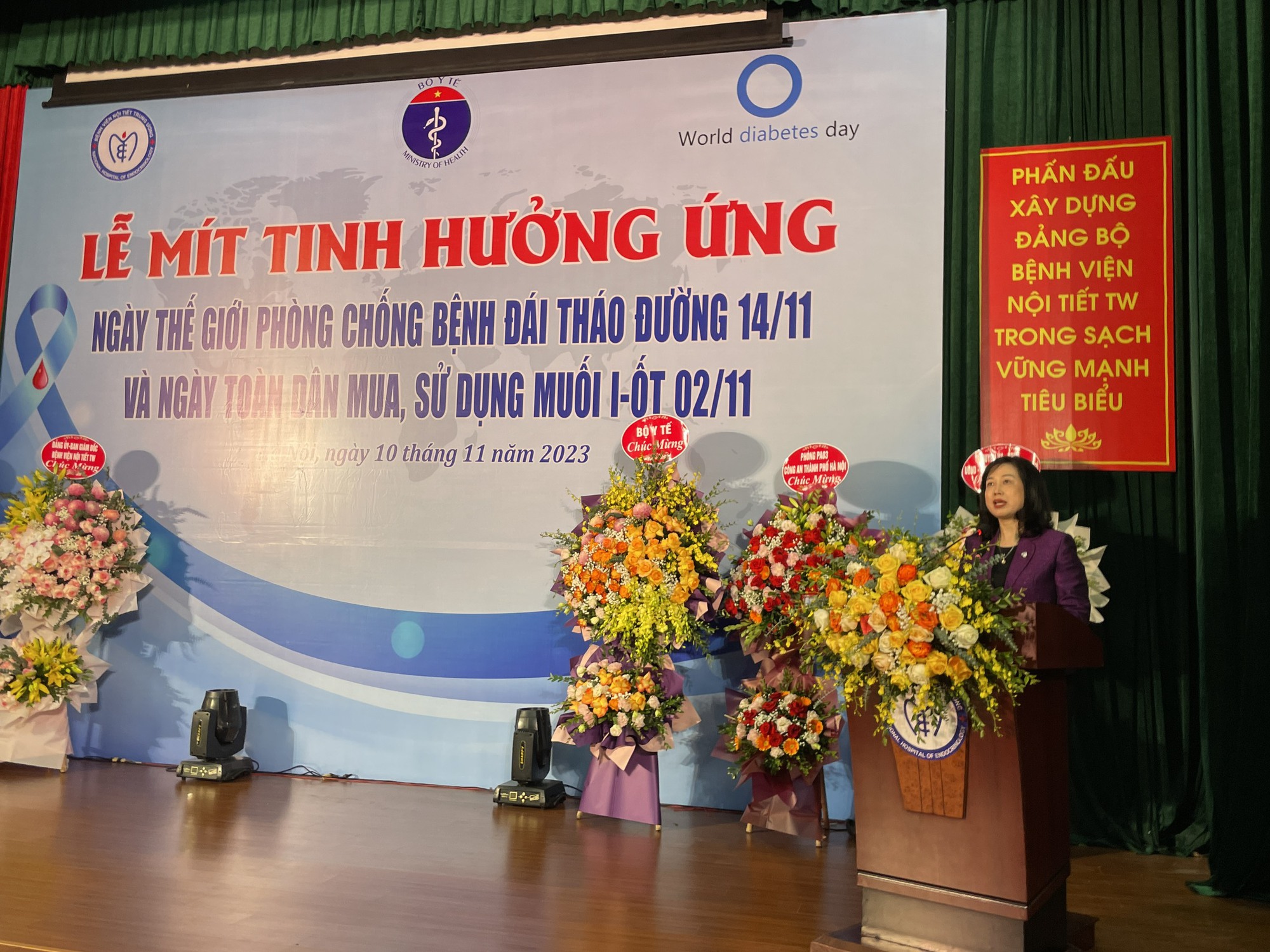 Bộ trưởng Bộ Y tế Đào Hồng Lan phát biểu tại mít tinh kỷ niệm Ngày đái tháo đường thế giới.