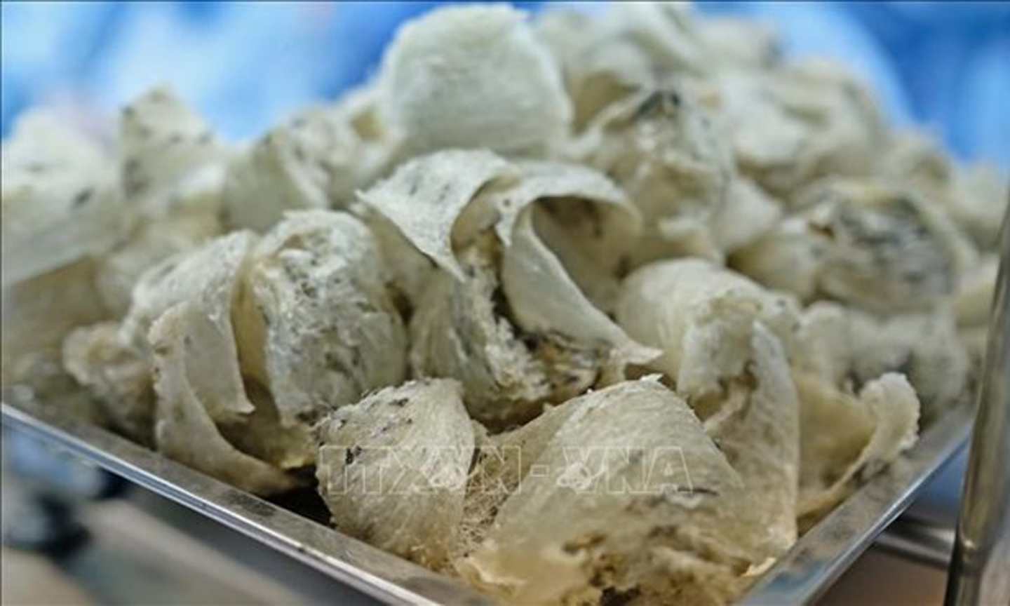 ABO/NDO- The General Administration of Customs of China (GACC) has officially allowed a Vietnamese enterprise to export bird’s nests to the country, the Ministry of Agriculture and Rural Development (MARD) has announced.