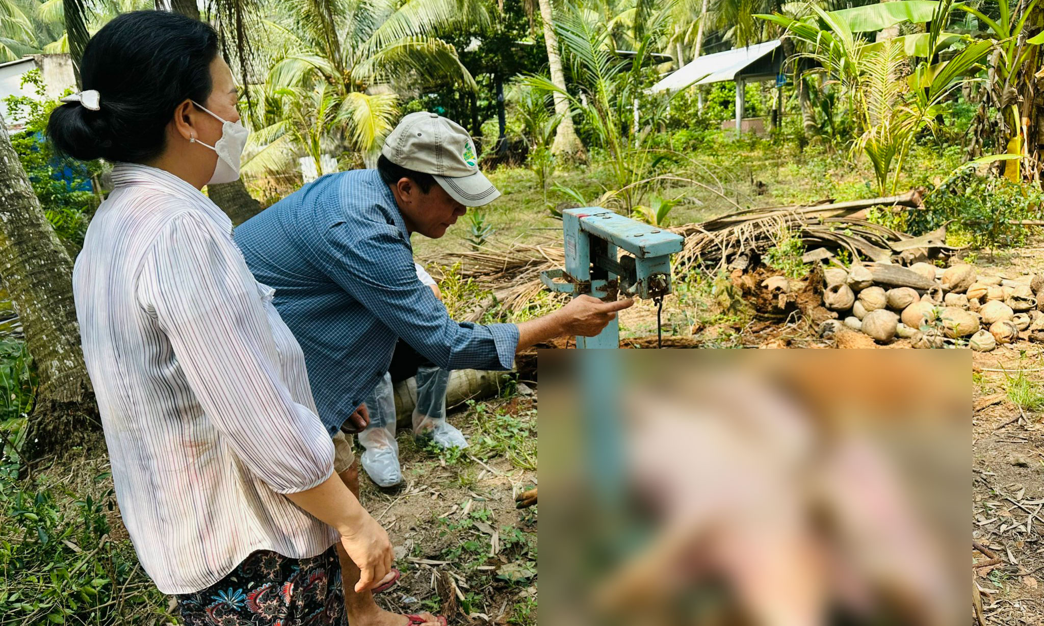 Huyện Chợ Gạo đang tập trung khống chế tình hình DTHCP tại xã Xuân Đông.