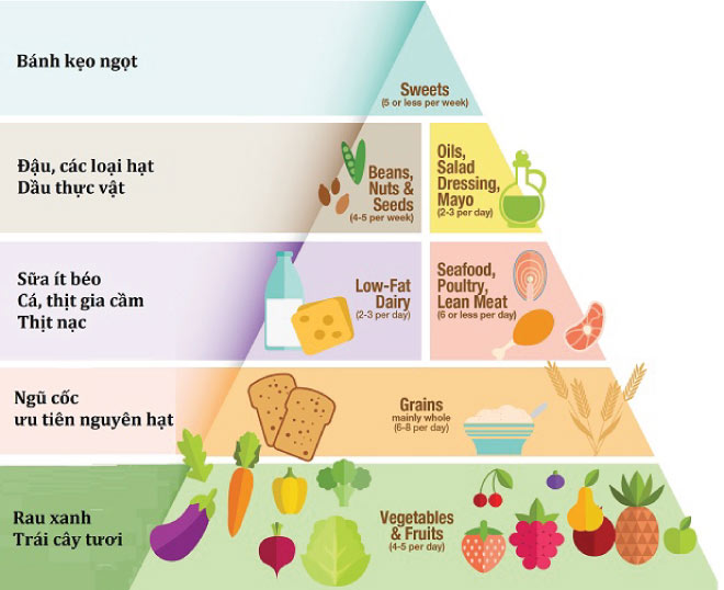 Tháp dinh dưỡng hợp lý cho bệnh nhân ĐTĐ.