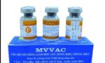 Việt Nam xuất khẩu vaccine sởi