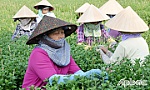 TP. Mỹ Tho: Giảm nghèo bền vững là nhiệm vụ trọng tâm, thường xuyên