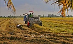 Triển lãm Con đường lúa gạo Việt Nam - Hành trình ngàn năm lúa gạo Việt