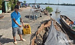 Sạt lở bờ sông Tiền khu vực bến phà Mỹ Thuận cũ: Cần xử lý, khắc phục khẩn cấp