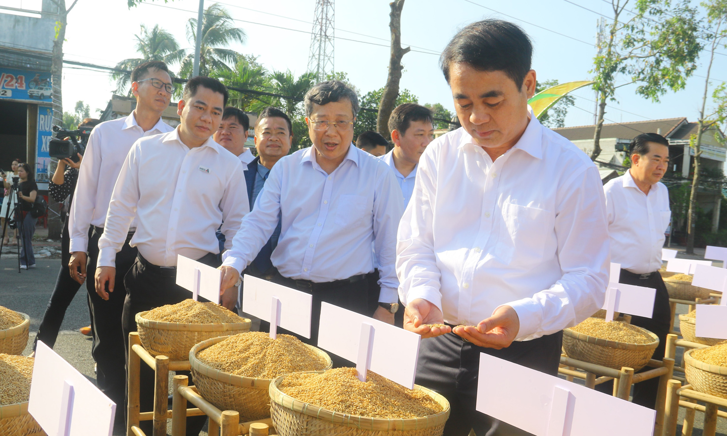  Lãnh đạo Bộ NN&PTNT cùng lãnh đạo tỉnh Hậu Giang tham quan khu trưng bày 63 giống lúa đặc trưng của các tỉnh, thành trên cả nước được giới thiệu tại con đường lúa gạo.