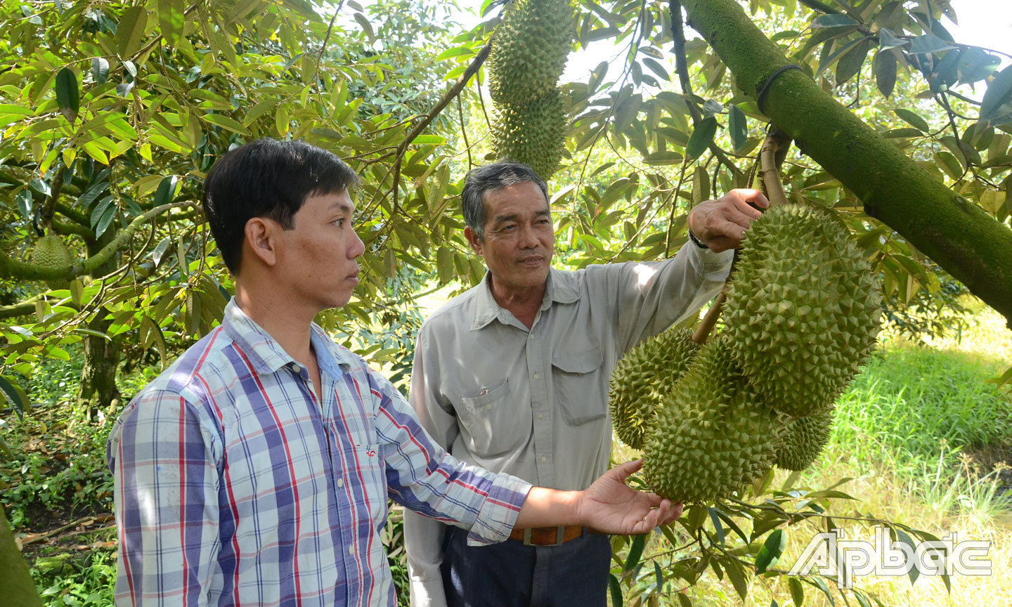 T. ĐẠT