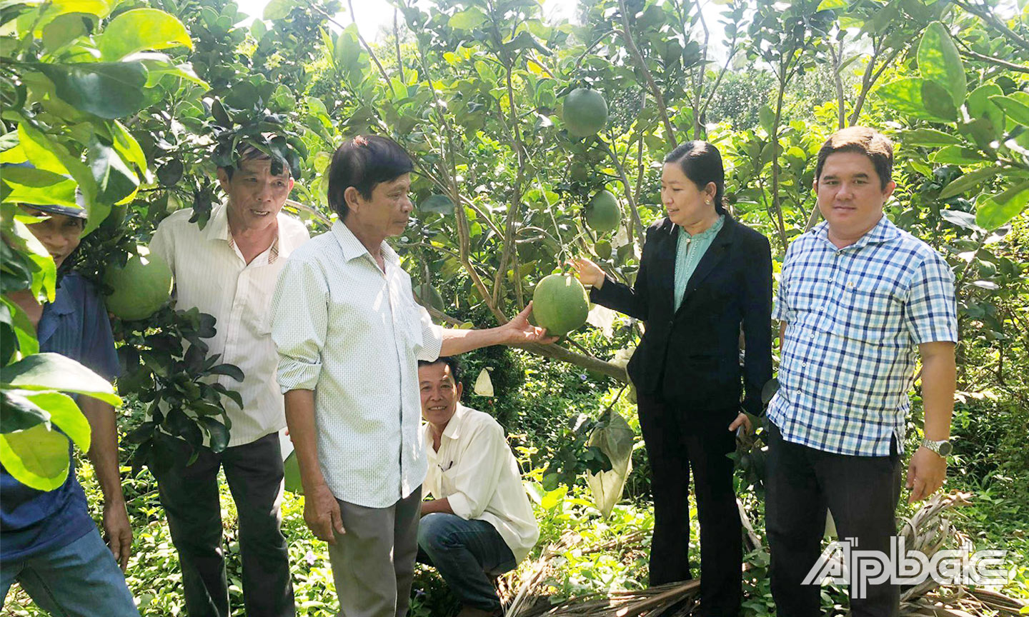 Nhờ chuyển đổi cây trồng, ứng dụng khoa học kỹ thuật đã giúp nâng cao  thu nhập cho người dân trên địa bàn huyện.