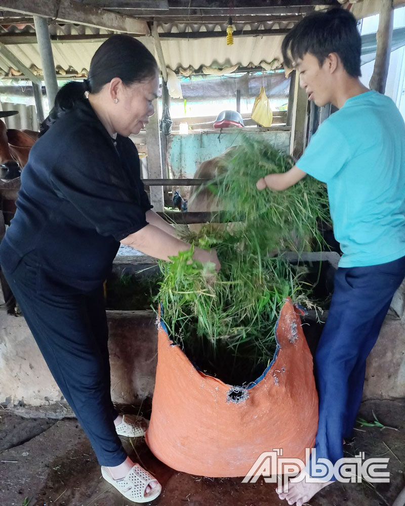 Chủ tịch Hội NNCĐDC xã Yên Luông  Nguyễn Thị Hương giúp đỡ nạn nhân   Nguyễn Thành Đô (ở ấp Long Bình)  có điều kiện nuôi bò, phát triển kinh tế gia đình.