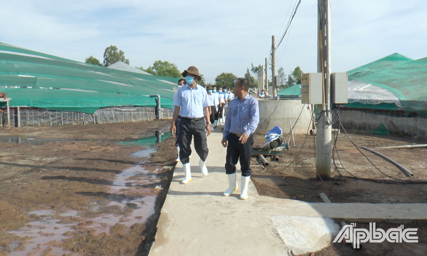 Lãnh đạo huyện Tân Phú Đông tham quan mô hình nuôi tôm công nghệ cao của Công ty TNHH Nuôi trồng thủy sản Tuấn Hiền (ấp Gãnh, xã Phú Đông).