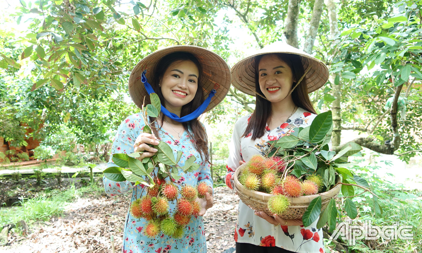 Xã Tân Phong phát triển du lịch gắn với phát triển vườn chuyên canh cây ăn trái.