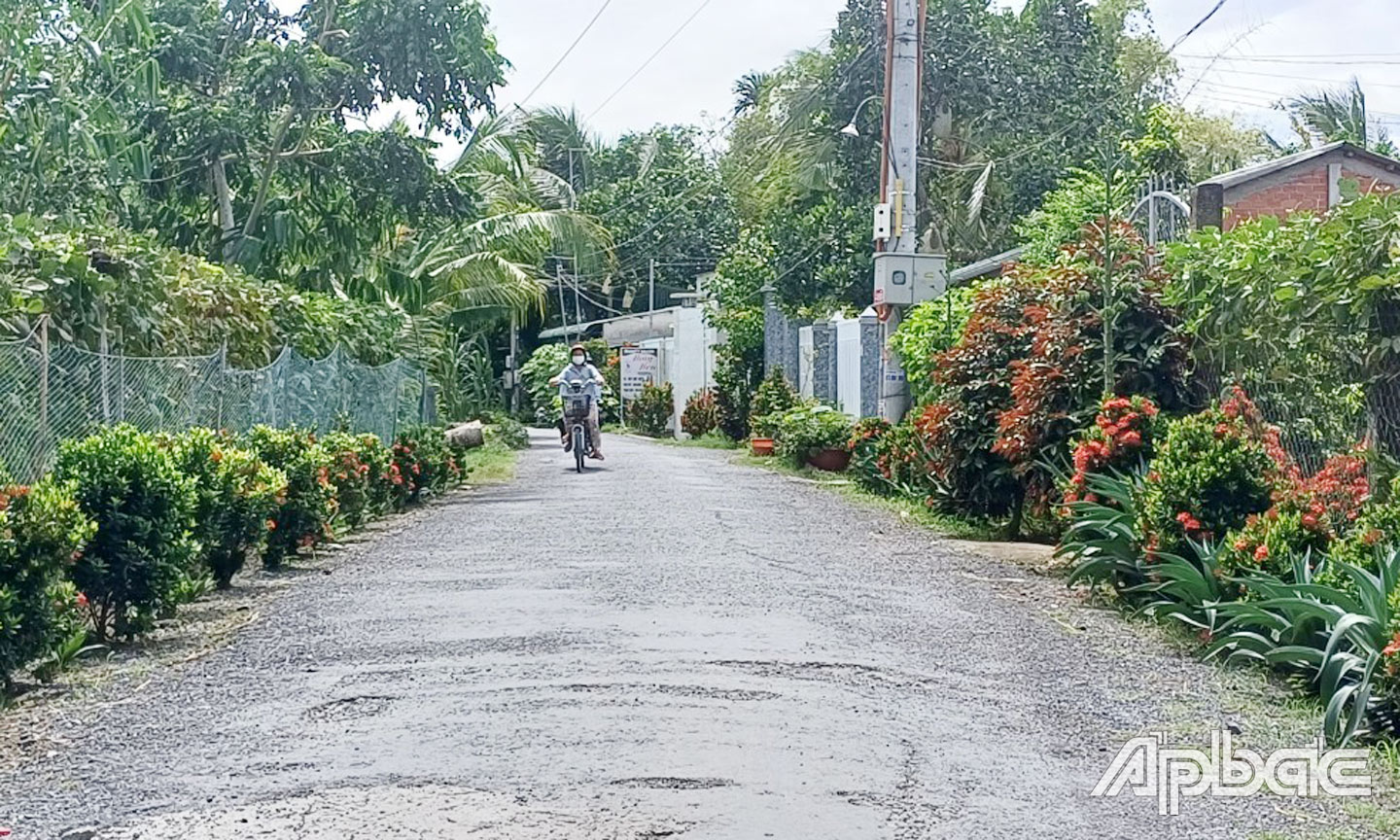 Mô hình “Tuyến đường hoa” là một trong những mô hình nổi bật trong Phong trào trên địa bàn huyện Cái Bè.