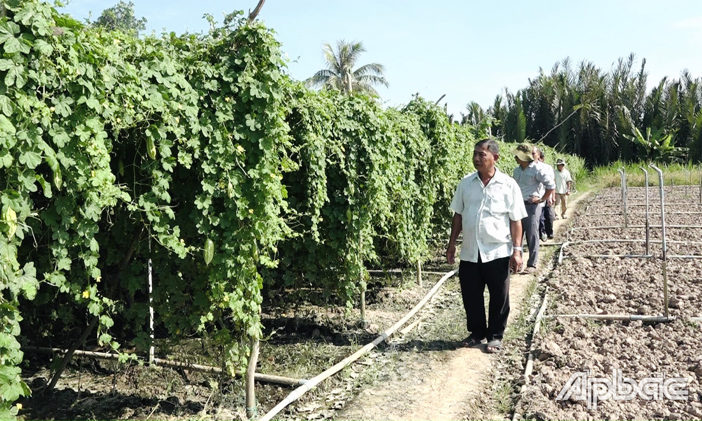 Hội CCB xã Bình Tân tham quan 