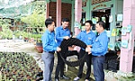 Huyện Cai Lậy: Đồng hành, hỗ trợ thanh niên khởi nghiệp