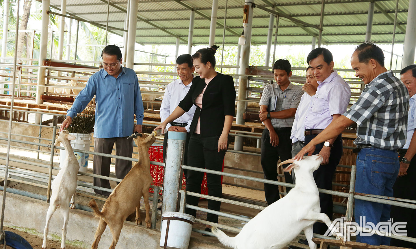 Phó Chủ tịchPhó Chủ tịch UBND tỉnh Tiền Giang Phạm Văn Trọng cùng đoàn thăm trang trại 