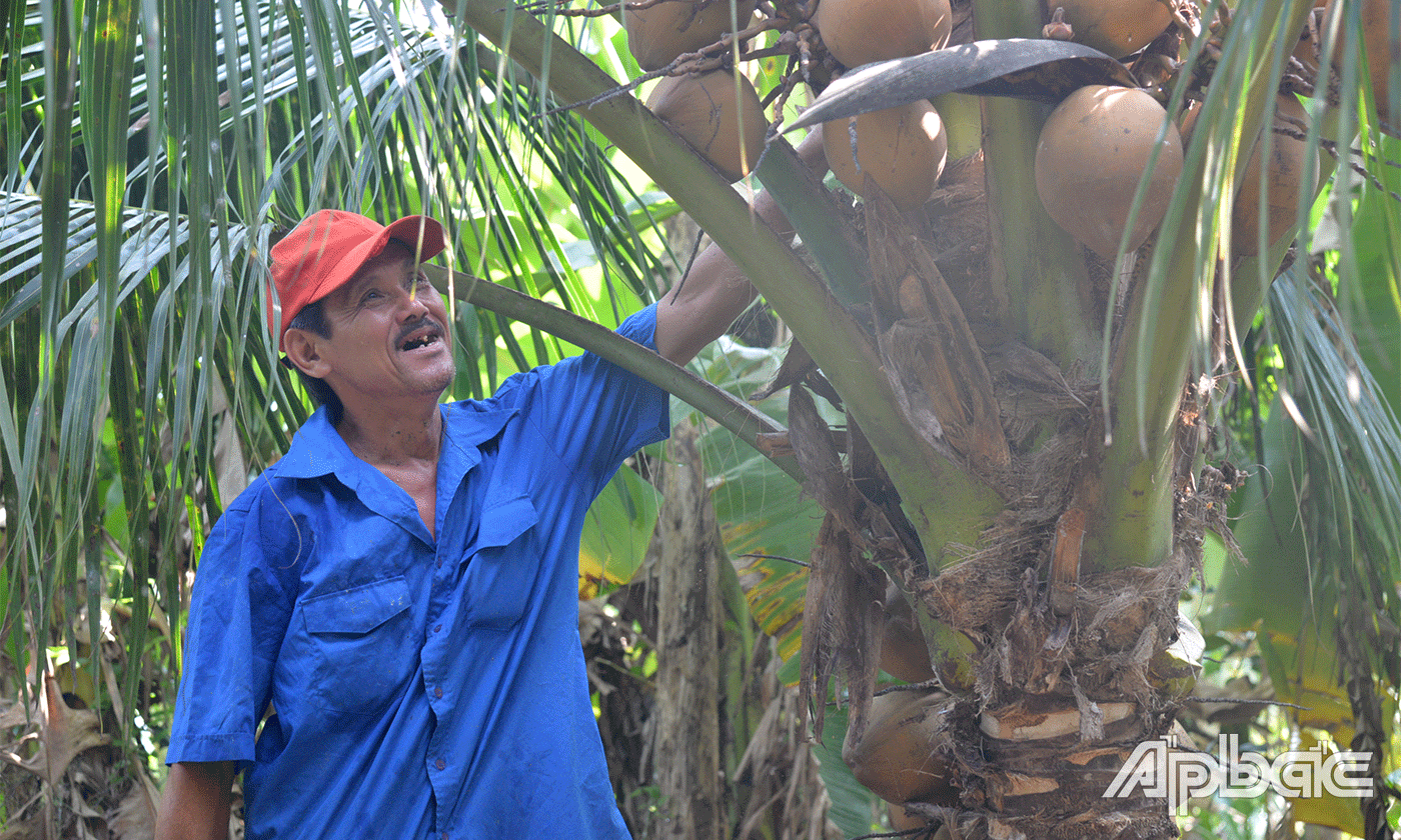 CCB Nguyễn Văn Thảo.