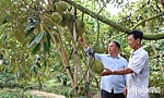 Huyện Cai Lậy: Năm mới, quyết tâm mới - kỳ vọng mới