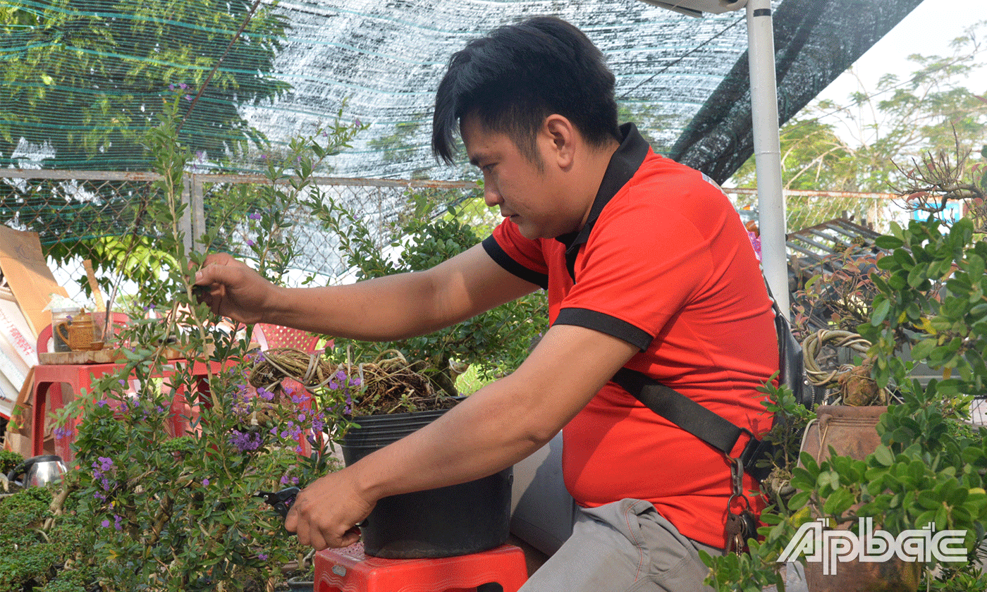 Anh Lê Tấn Thanh Bình chuẩn bị các chậu kiểng bonsai.