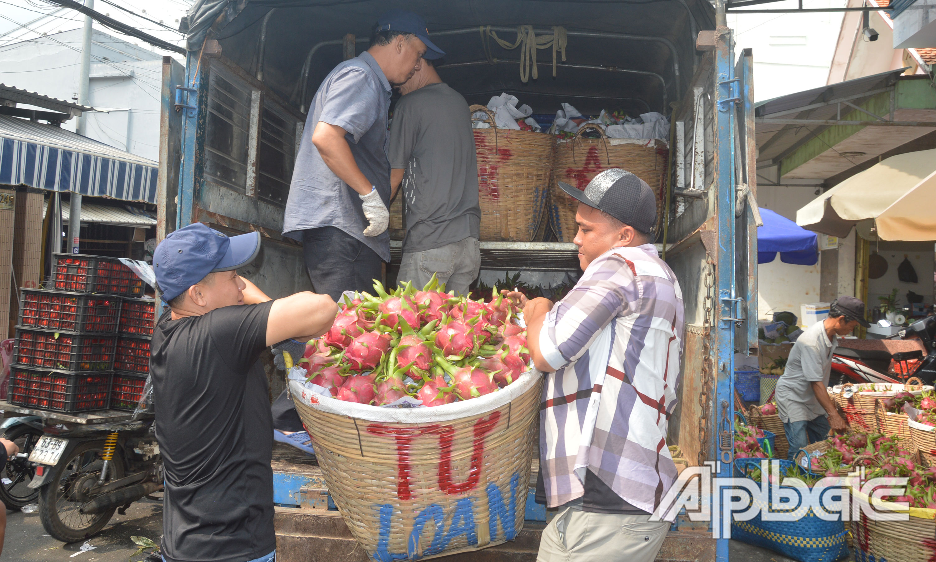 Vận chuyển trái cây cho các vựa.