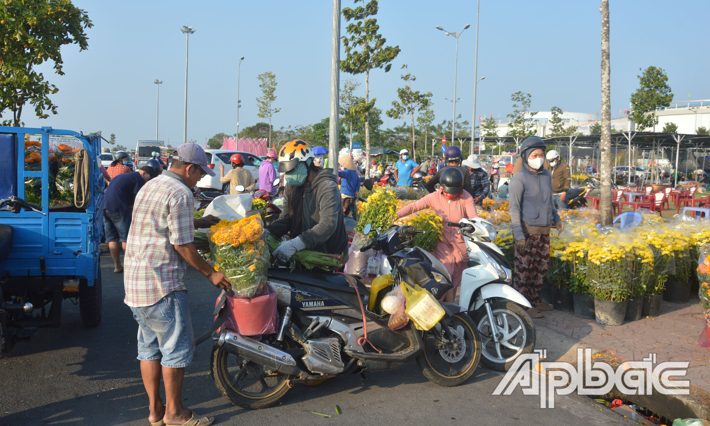 Khá đông người dân đi mua hoa hạ giá.