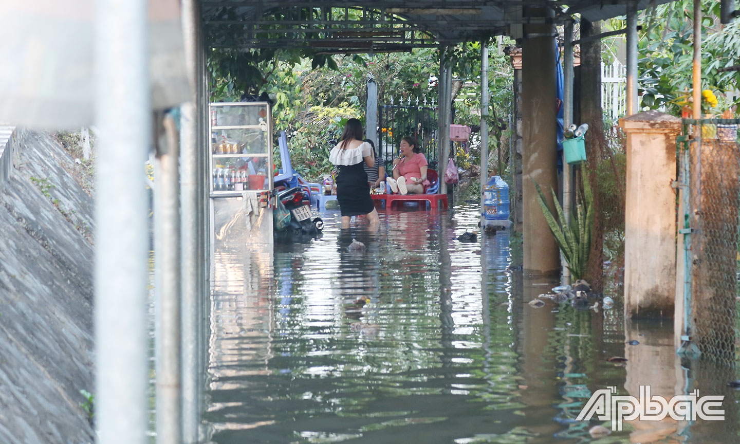 Nhiều hộ dân bị ngập nước nghiêm trọng.