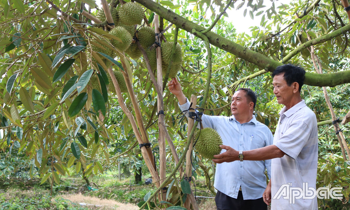 Nông dân huyện Cai Lậy kỳ vọng sản xuất nông nghiệp có nhiều bước tiến trong năm 2024.