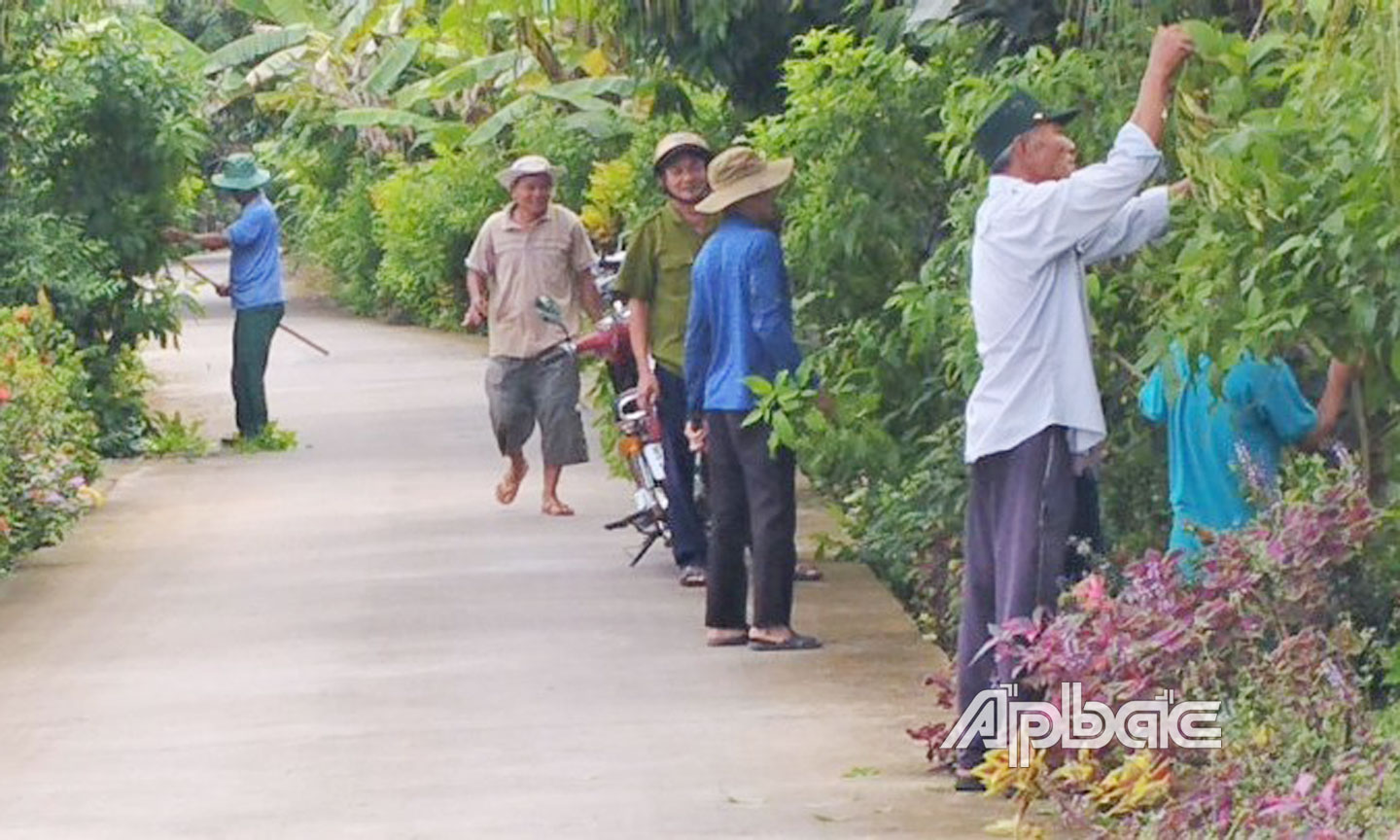 Chi bộ ấp Phú Lợi cùng đoàn thể ấp dọn cỏ trên tuyến đường văn hóa Tây Ban Đầy. 