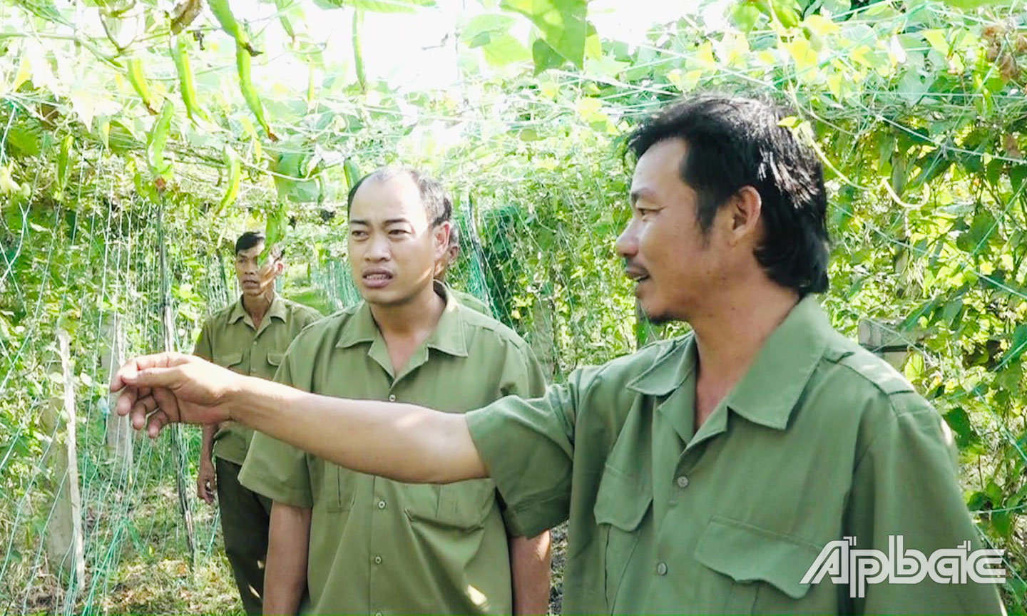 CCB Nguyễn Ngọc Vàng không chỉ tích cực hiến đất làm đường giao thông nông thôn, còn là tấm gương sản xuất, kinh doanh giỏi tại địa phương.