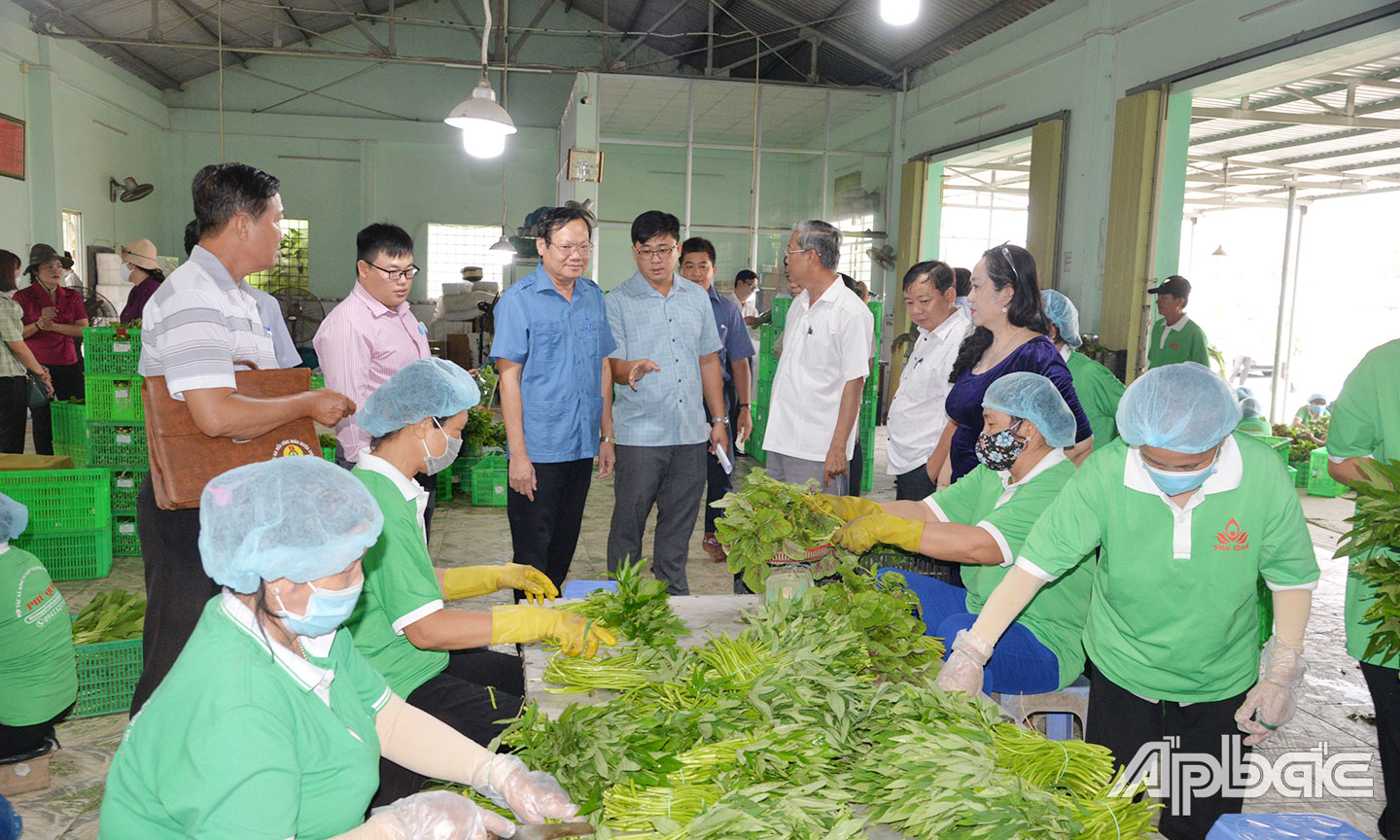 Đoàn giám sát của HĐND tỉnh giám sát công tác quy hoạch sản xuất nông nghiệp, tình hình sản xuất, tiêu thụ nông sản và triển khai chính sách hỗ trợ phát triển nông nghiệp trên địa bàn tỉnh Tiền Giang (trong ảnh: Đoàn giám sát khảo sát thực tế tại Hợp tác xã Nông nghiệp TM-DV Phú Quới, huyện Gò Công Tây).