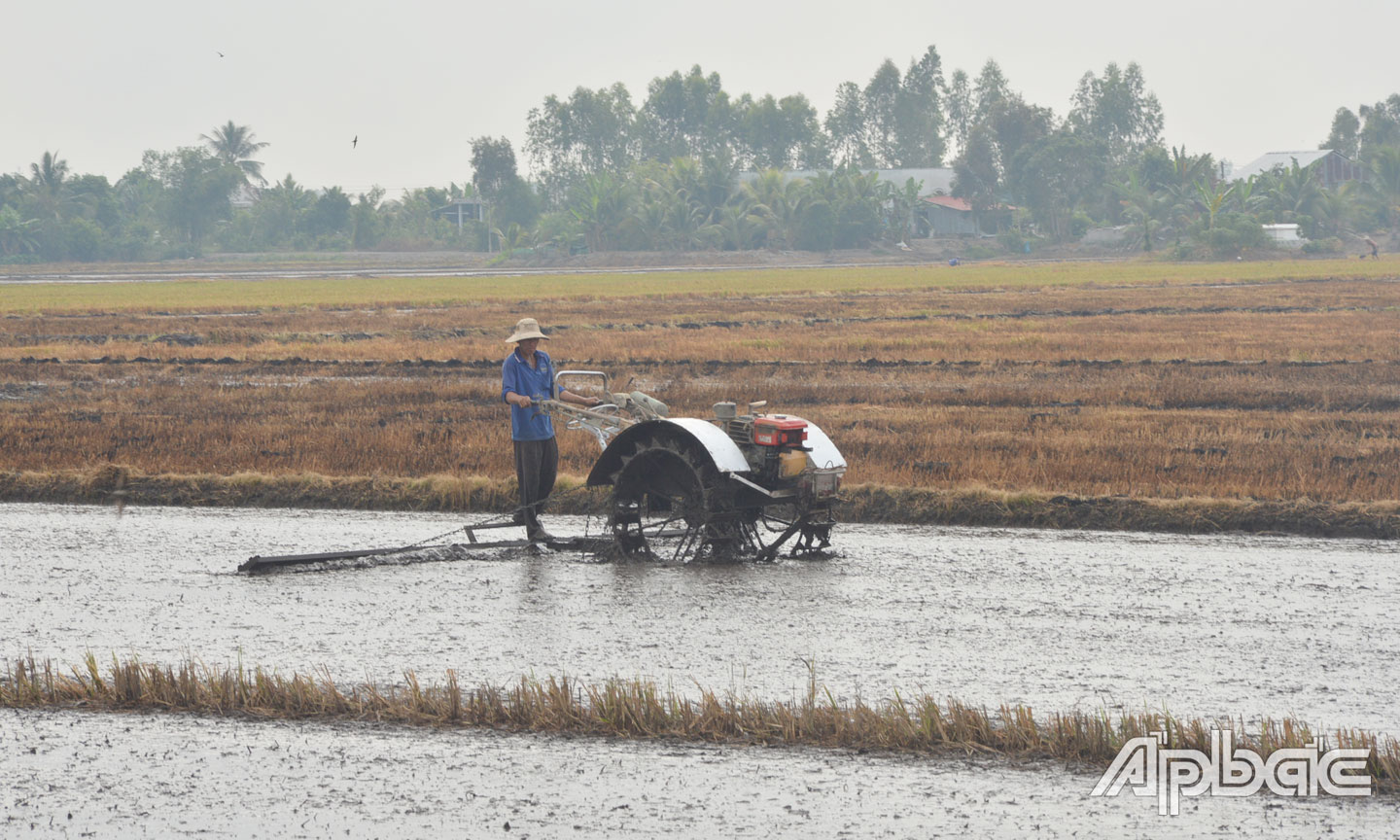 Nông dân xã Tân Hòa Tây khẩn trương xuống giống vụ lúa xuân hè.