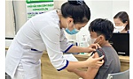 Tiêm vaccine là cách chủ động phòng bệnh dại trên người