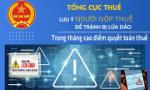 Tổng cục Thuế cảnh báo hành vi giả danh cán bộ, cơ quan thuế để lừa đảo