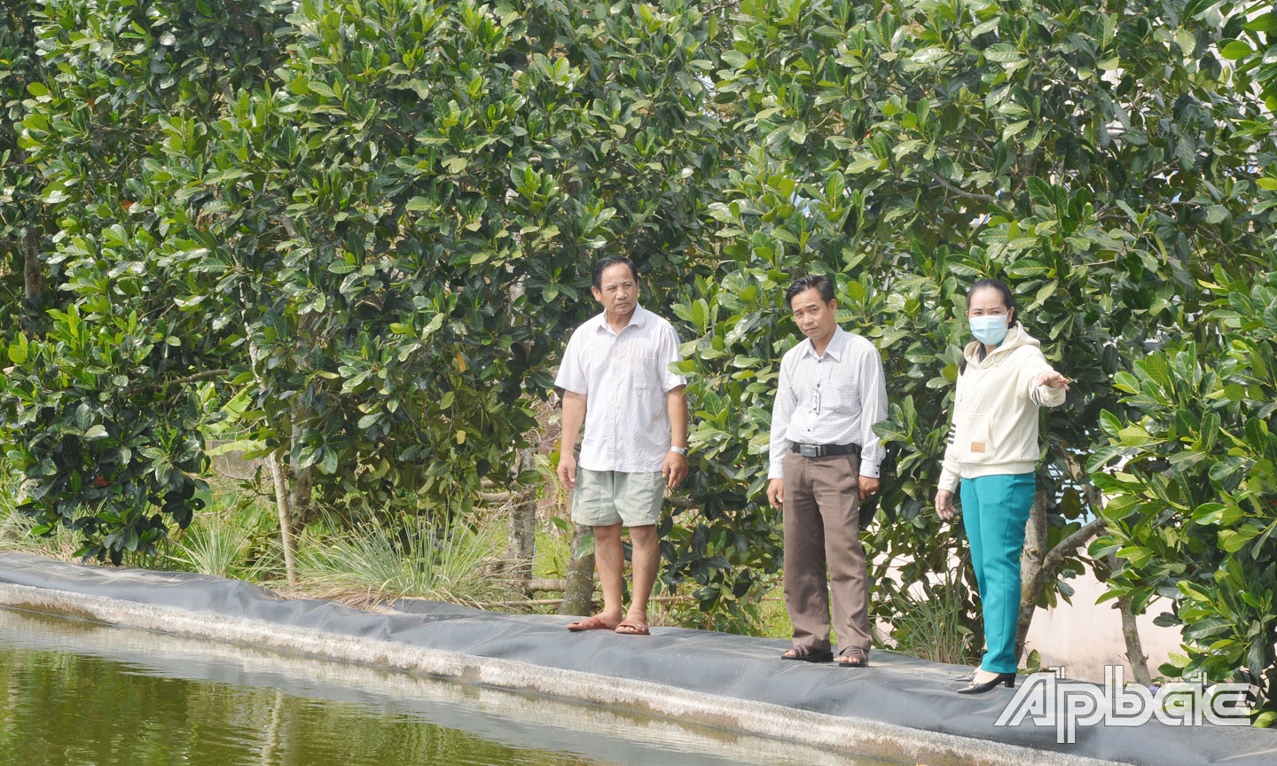 Nông dân xã Tân Phong trữ nước phục vụ sản xuất trong mùa hạn, mặn.