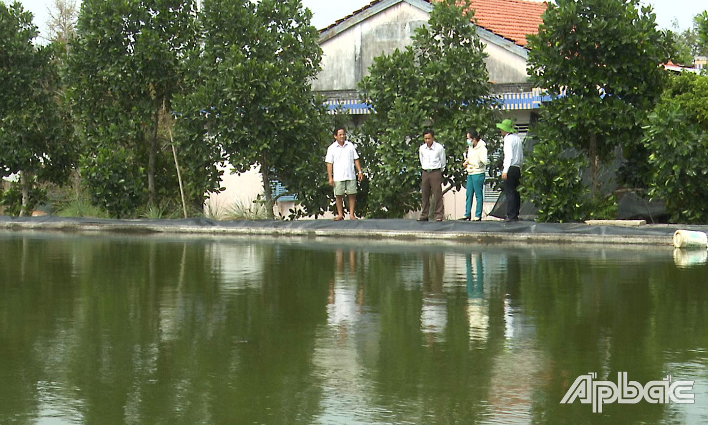 Ao trữ nước là một trong giải pháp hữu hiệu giúp nông dân đảm bảo nước tưới vườn trong mùa hạn, mặn.