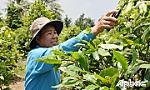 Chuyện về những nông dân biến 