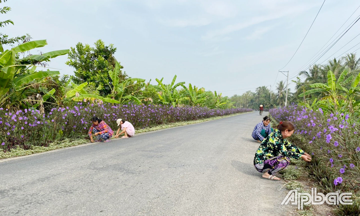 Tuyến đường hoa tại ấp Bình Trung tạo điểm nhấn cho xã Thạnh Nhựt.