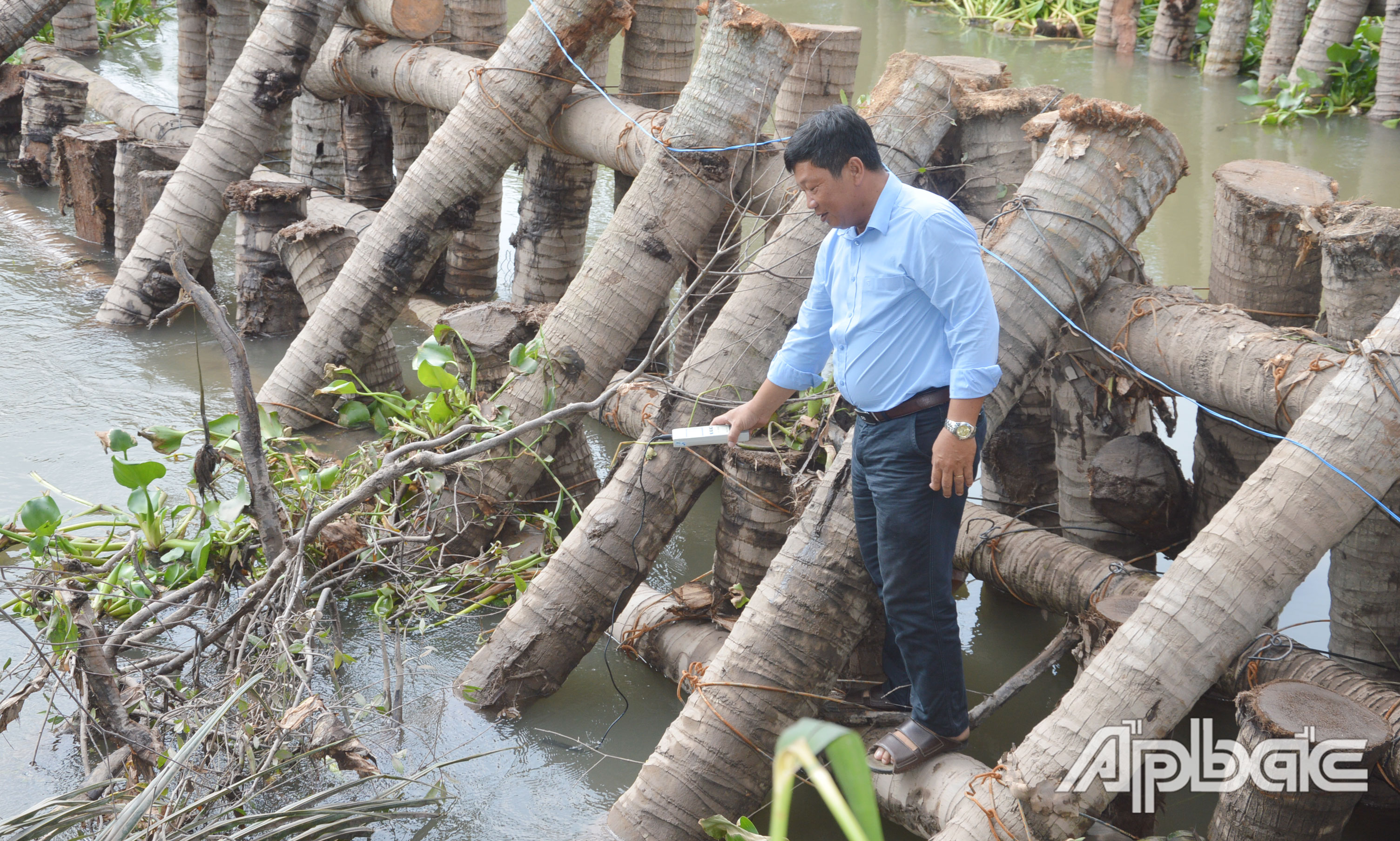 Những ngày qua, xâm nhập mặn trên địa bàn tỉnh đang giảm.