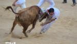 Tây Ban Nha sẽ bỏ giải đấu bò quốc gia được tổ chức thường niên