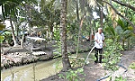 Tiền Giang: Nước ngọt vào nội đồng, nhà vườn phấn khởi