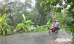 Tiền Giang: Dự báo các huyện phía Đông sẽ có mưa nhỏ