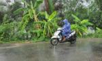 Tiền Giang: Ghi nhận mưa ở nhiều nơi